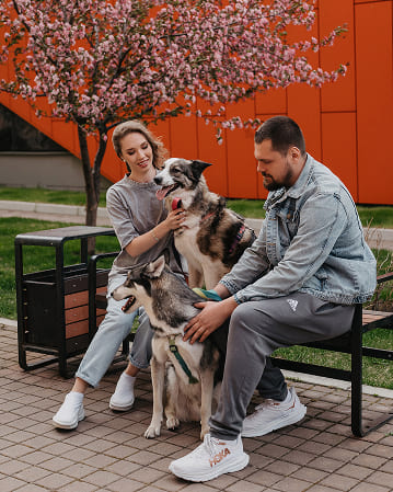 Фотосессия с питомцем